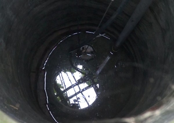 Thông  tin từ đường dây nóng